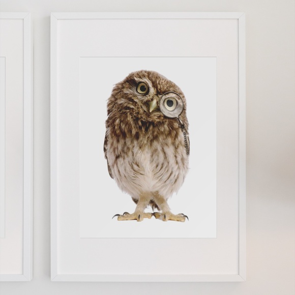 Owl Portrait Wall Art Print Poster Unframed - Picture 4 of 9